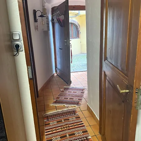 Le Petit Nid De Cigogne アパート コルマール