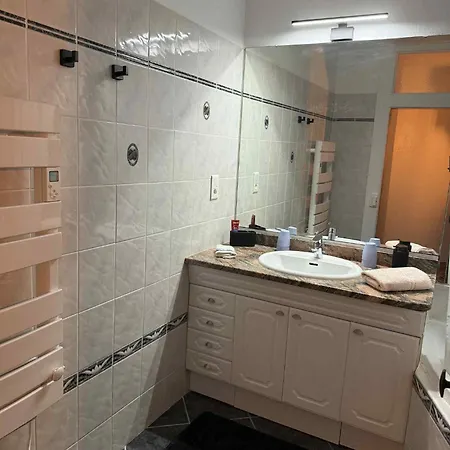 Apartment Le Petit Nid De Cigogne Colmar