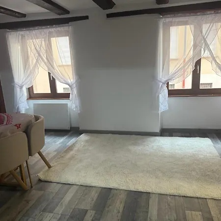 Le Petit Nid De Cigogne コルマール