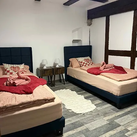 Le Petit Nid De Cigogne コルマール