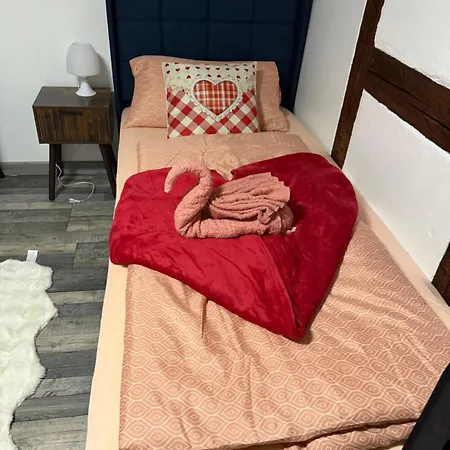 アパート Le Petit Nid De Cigogne コルマール