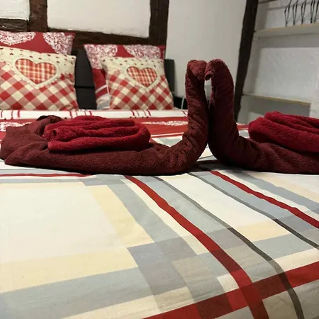 アパート Le Petit Nid De Cigogne コルマール