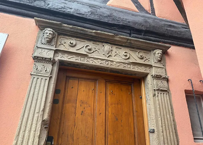 Le Petit Nid De Cigogne *