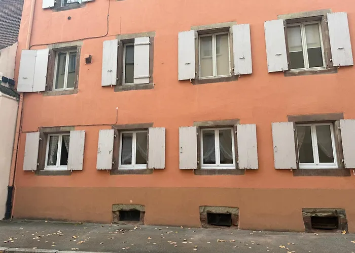 Le Petit Nid De Cigogne Apartamento *