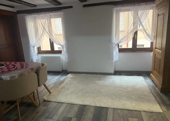 Le Petit Nid De Cigogne Colmar