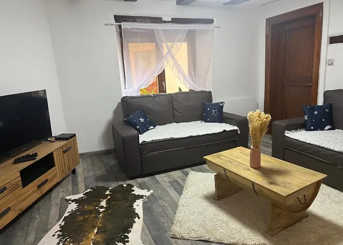 Le Petit Nid De Cigogne * Colmar