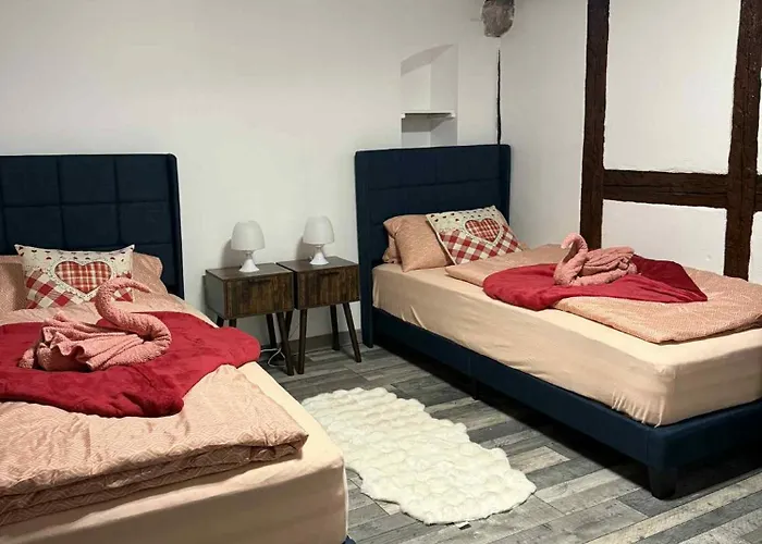 Le Petit Nid De Cigogne Colmar