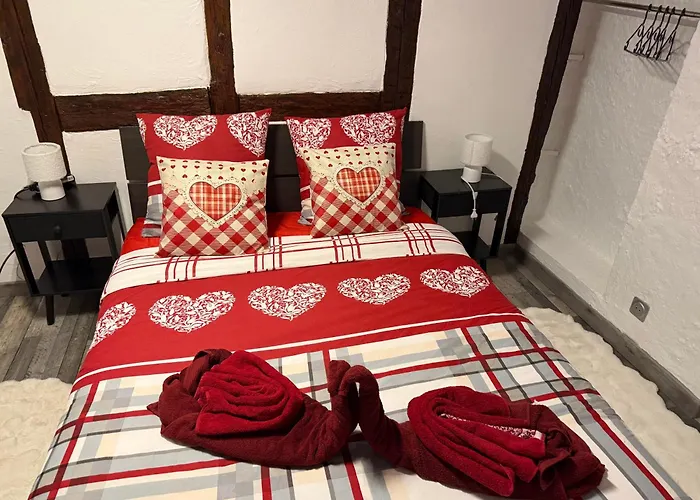 Le Petit Nid De Cigogne *